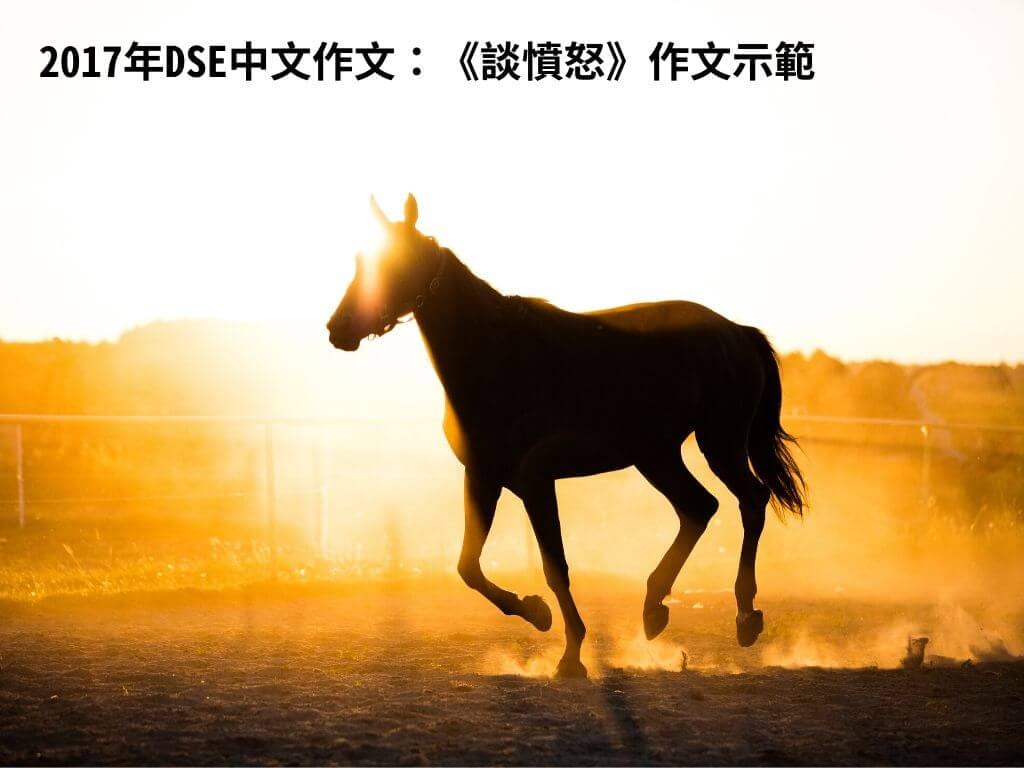 2017年DSE中文作文：《談憤怒》作文示範